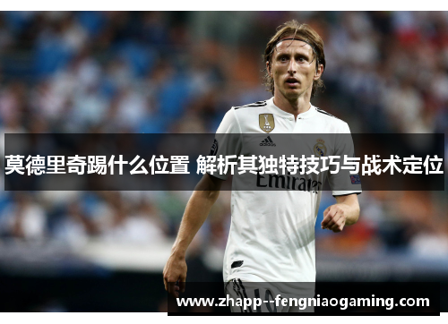 莫德里奇踢什么位置 解析其独特技巧与战术定位