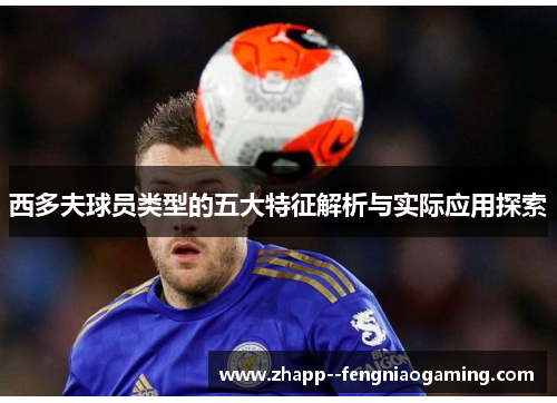 西多夫球员类型的五大特征解析与实际应用探索 西多夫球员类型的五大特征解析与实际应用探索