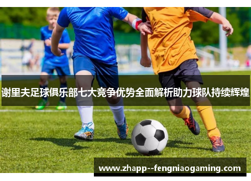 谢里夫足球俱乐部七大竞争优势全面解析助力球队持续辉煌 谢里夫足球俱乐部七大竞争优势全面解析助力球队持续辉煌