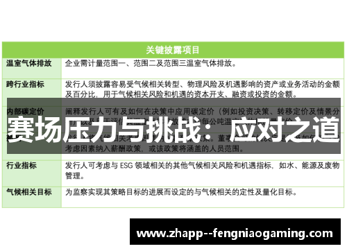 赛场压力与挑战：应对之道