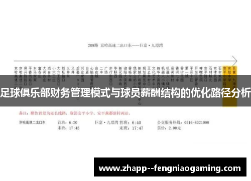 足球俱乐部财务管理模式与球员薪酬结构的优化路径分析 足球俱乐部财务管理模式与球员薪酬结构的优化路径分析