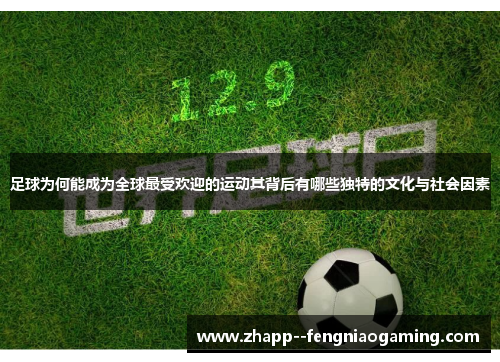 足球为何能成为全球最受欢迎的运动其背后有哪些独特的文化与社会因素