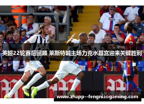 英超22轮赛后回顾 莱斯特城主场力克水晶宫迎来关键胜利