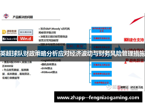 英超球队财政策略分析应对经济波动与财务风险管理措施 英超球队财政策略分析应对经济波动与财务风险管理措施