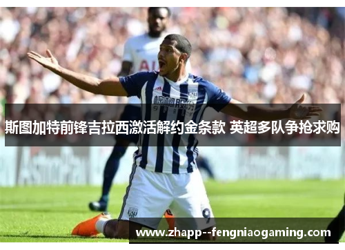 斯图加特前锋吉拉西激活解约金条款 英超多队争抢求购 斯图加特前锋吉拉西激活解约金条款 英超多队争抢求购