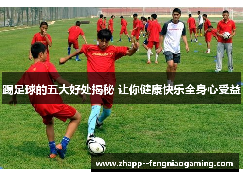 踢足球的五大好处揭秘 让你健康快乐全身心受益 踢足球的五大好处揭秘 让你健康快乐全身心受益