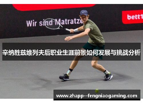 辛纳胜兹维列夫后职业生涯前景如何发展与挑战分析 辛纳胜兹维列夫后职业生涯前景如何发展与挑战分析