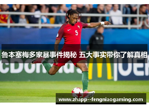 鲁本塞梅多家暴事件揭秘 五大事实带你了解真相