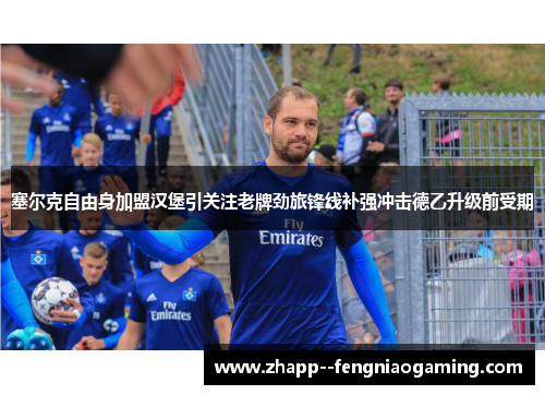 塞尔克自由身加盟汉堡引关注老牌劲旅锋线补强冲击德乙升级前受期 塞尔克自由身加盟汉堡引关注老牌劲旅锋线补强冲击德乙升级前受期